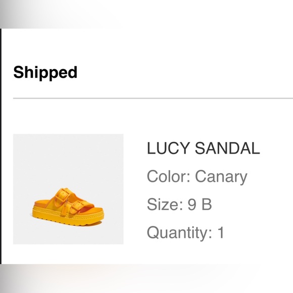 COPY - Coach Slide Sandals - Picture 2 of 2